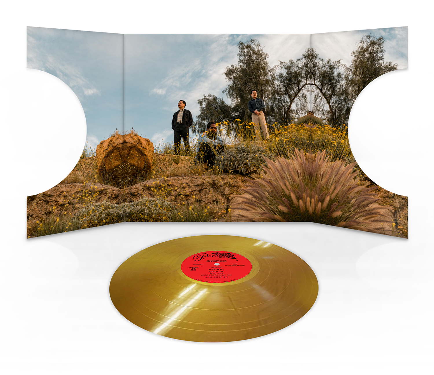 Thee Sacred Souls - Got A Story To Tell, Vinyl LP Thee Sacred Souls - Got A Story To Tell, Vinyl LP